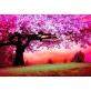 Natural Scenery Oil Painting Canvas Paint by Number DIY Painting for Adults