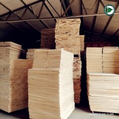 Factory Supply Wholesale Price  Paulownia Wood Panel For Furniture Use