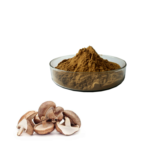 KLl Factory Wholesales Bulk Hericium Erinaceus Mushroom/Hericium Erinaceus/Coriolus Versicolor powder