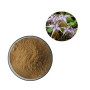 Factory Direct Supply Pant ExtractHoney  Weed Extract/ icariin 50% 60% 80% 98% Epimedium extract