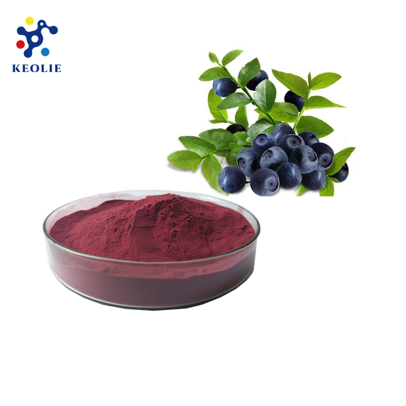 Chinese Kosher Factory herb extract Natural Acai berry capsules P.E. powder of organic acai berry juice powder
