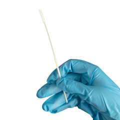 Sterile Specimen Collection Sterile Nylon Flocked Throat Oral Nasal Swab