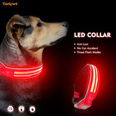 wholesale glow dog collars pet products dog cat led light dog collar Pet CollarWith Led Lights