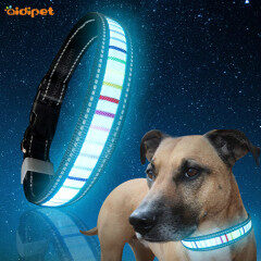 Raya colorida que brilla en la oscuridad Collar de perro Luminoso Collar de gato para seguridad nocturna