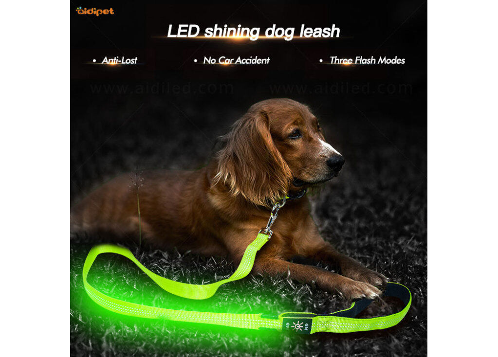 Cuerda de perro LED