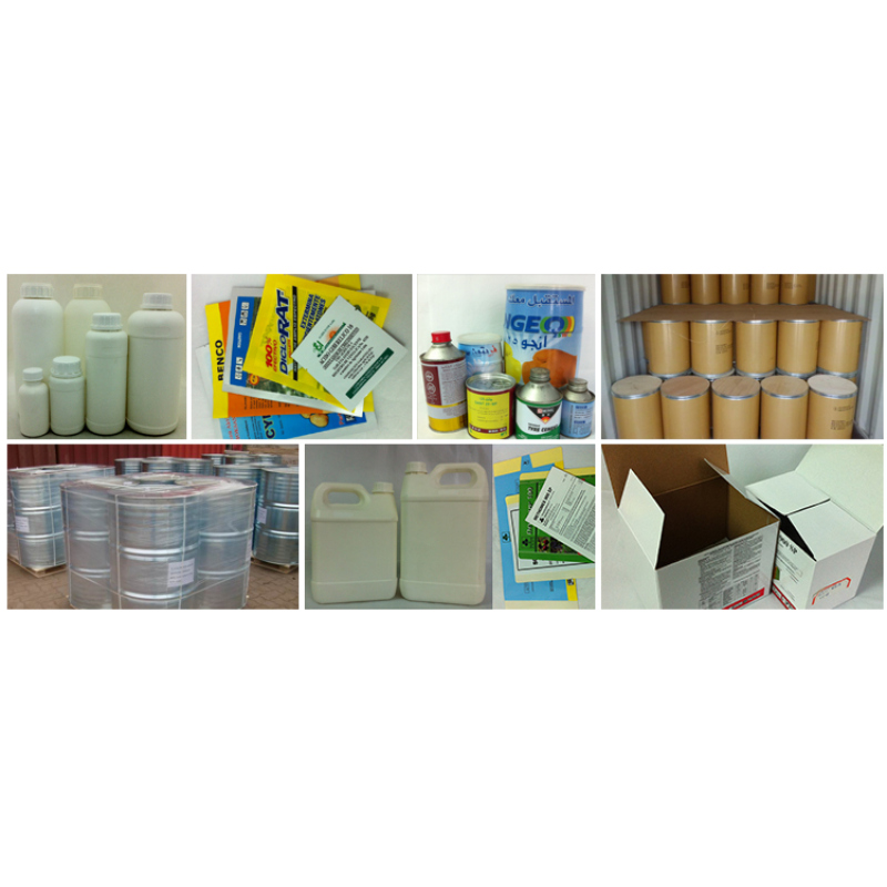 Factory  supply best price catalase powder