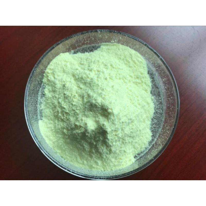 Factory supply Natural Pure baicalin skullcap Extract baicalin powder