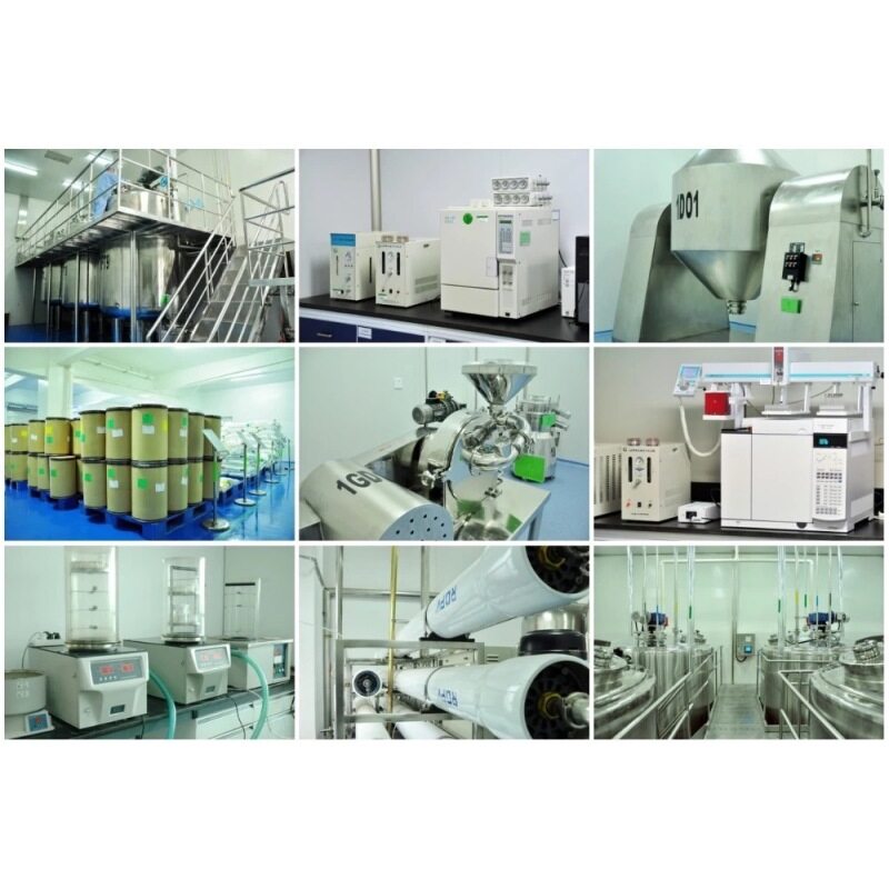 GMP Factory supply HIgh Pure API 99% Dyclonine HCL powder Dyclonine hydrochloride