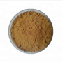HIgh pure chaga maitake mushroom extract / chaga powder maitake mushroom extract powder