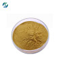 Factory supply Natural Pure ginger extract 90% 6-gingerol