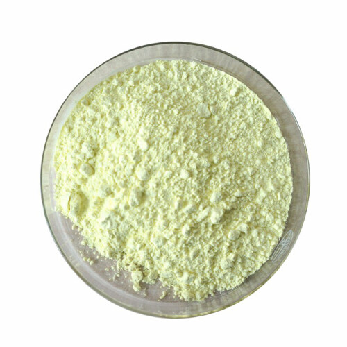 Hot sale & hot cake high quality Ginkgo biloba extract/GBE for sale,90045-36-6