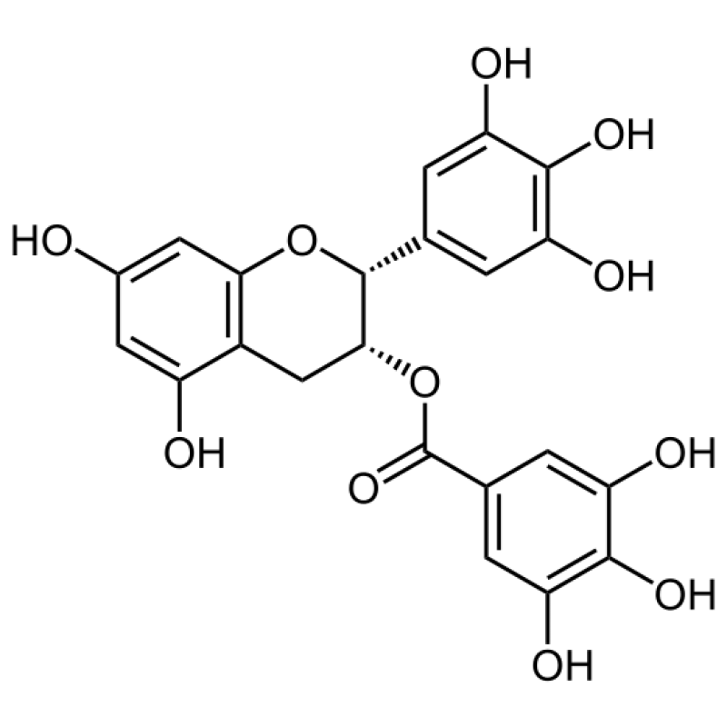 Green tea extract (-)-Epigallocatechin gallate 989-51-5 98% EGCG