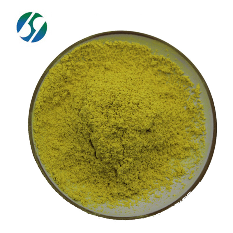 Pharmaceutical grade quercetin dihydrate extract powder Quercetin powder 98%