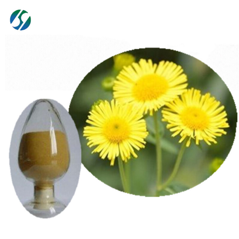 China manufacturer supply high quality 100% nature Common Coltsfoot Flower Extract with reasonable price !