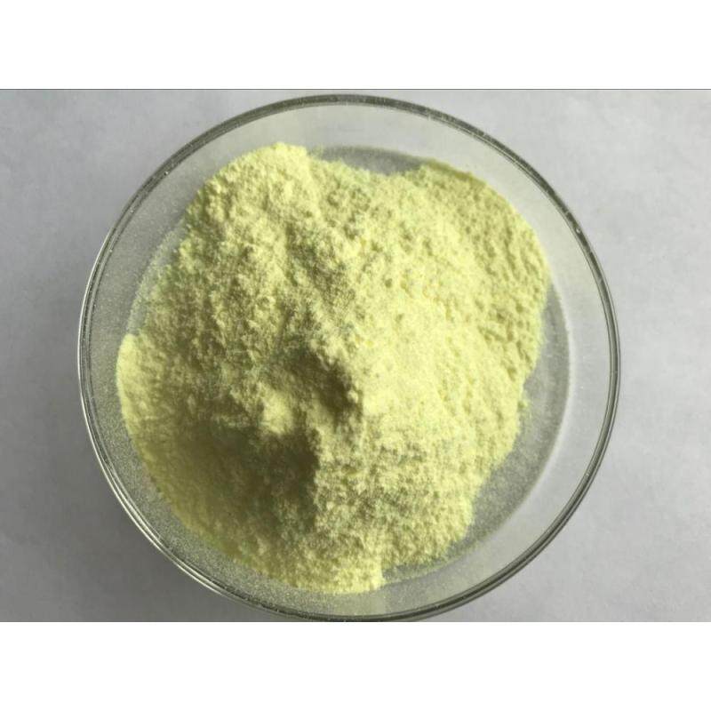 Supply  Sophora Japonica Extract with best price