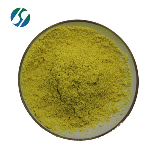 Factory Price Bulk Pure Natural quercetin extract 95% 98% quercetin