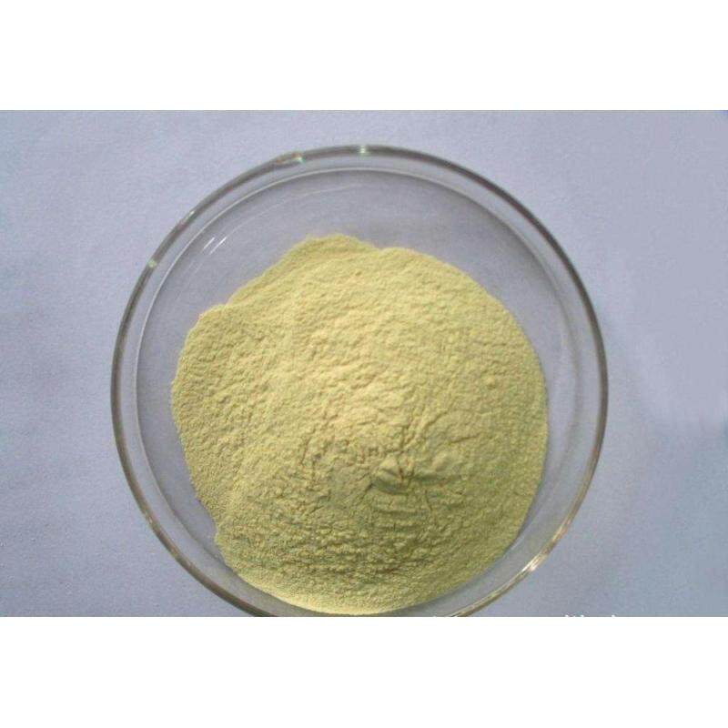 Factory Directly Supply sophora japonica fruit extract