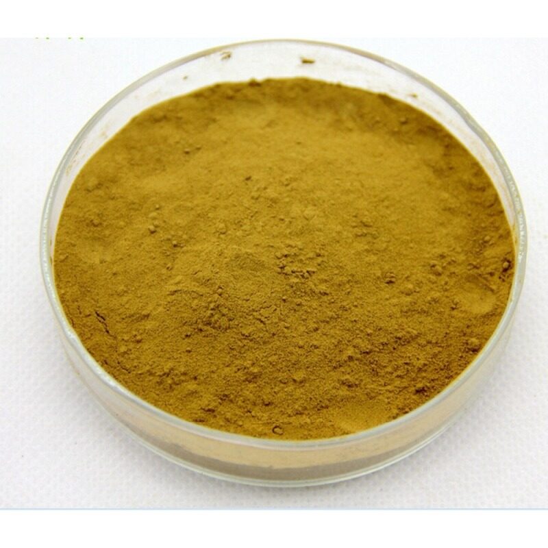 Hot selling high quality Momordica Grosvenori Extract Mogroside V 88901-36-4 with reasonable price and fast delivery