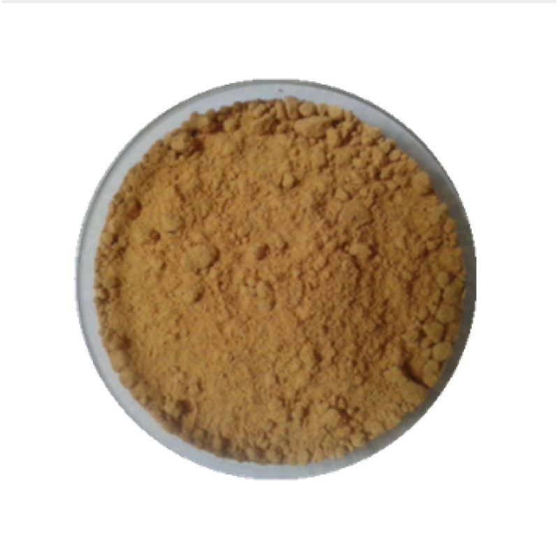 Factory supply high quality Seabuckthorn extract