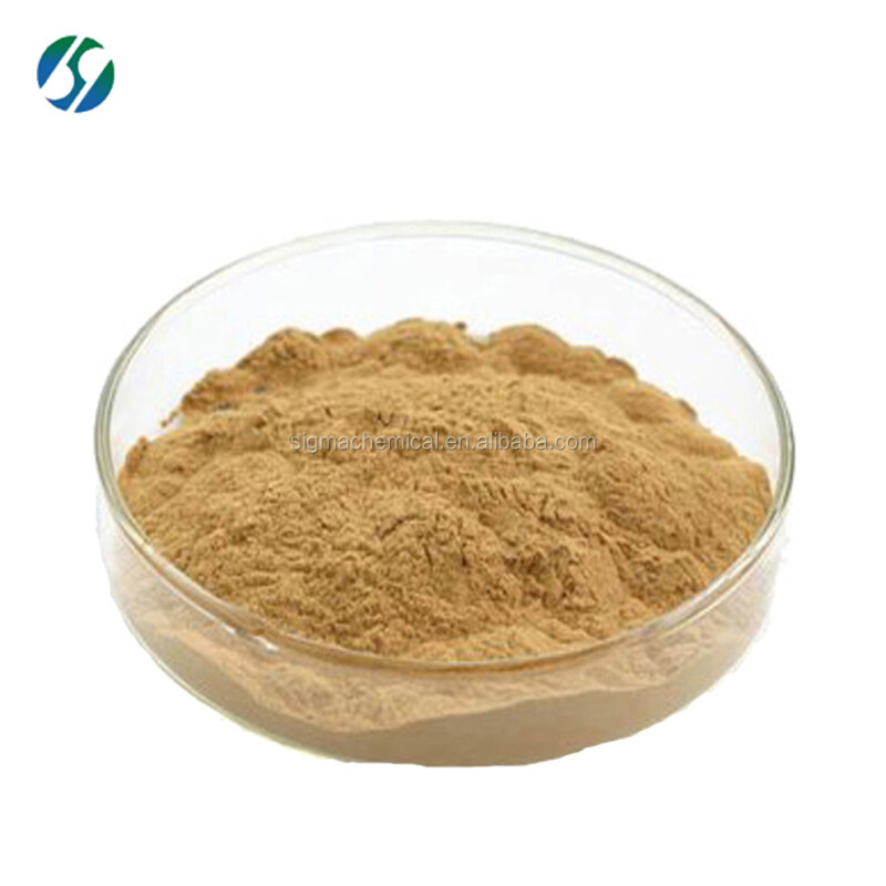 Hot sale & hot cake high quality Gynostemma pentaphyllum Extract with reasonable price !