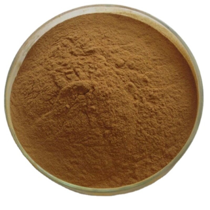 Factory Supply Natural Pure Lions Mane mushroom hericium erinaceus extract powder