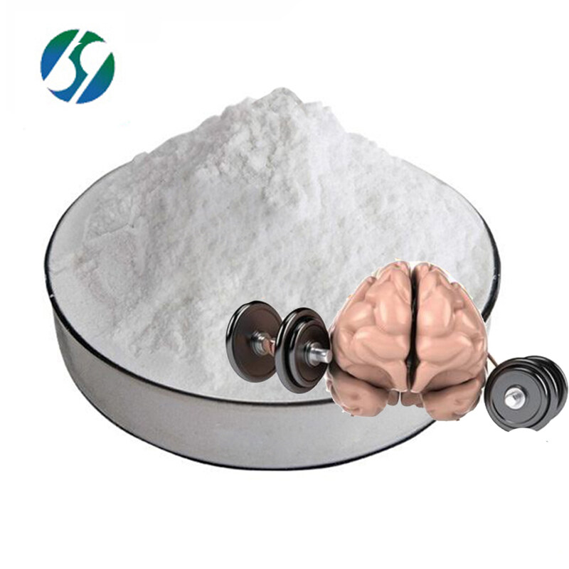 GMP Certified nootropics Pramiracetam powder CAS 68497-62-1 Pramiracetam