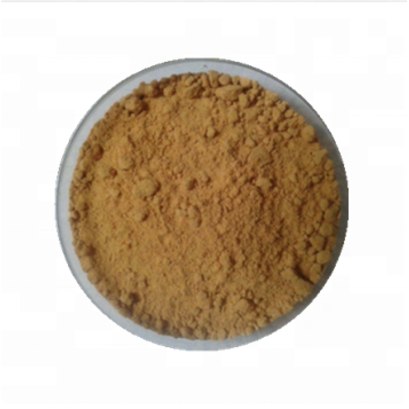 Factory Supply Natural Pure Lions Mane mushroom hericium erinaceus extract powder