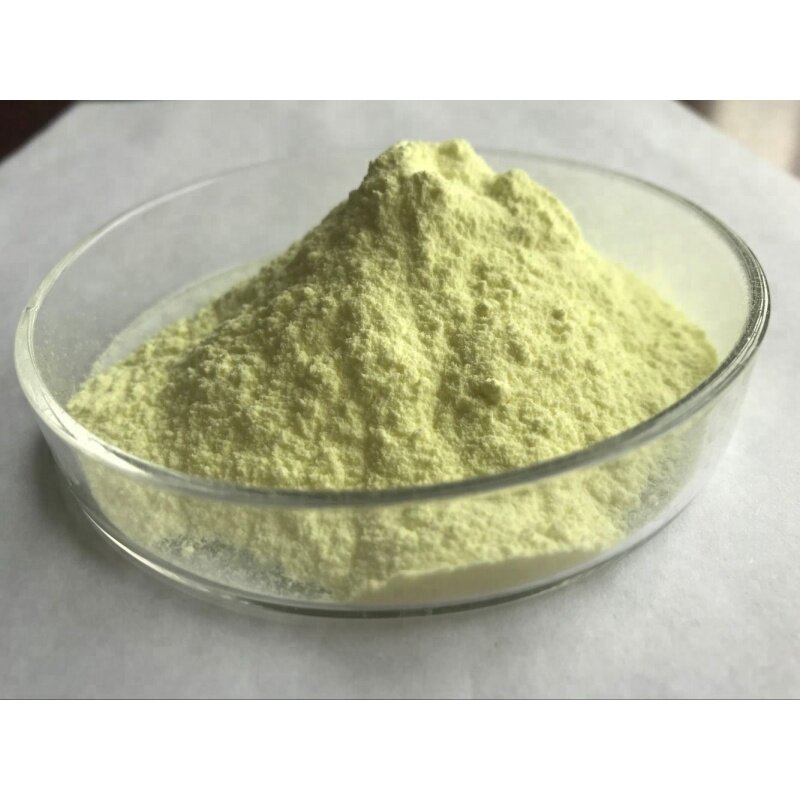 GMP Factory supply 95% Rutin 153-18-4 with competitive price