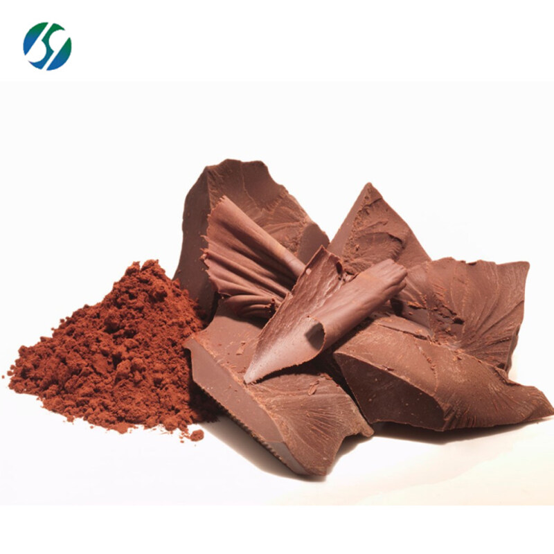 Food additive Natural Pure  cocoa bean extract powder cocoa extract