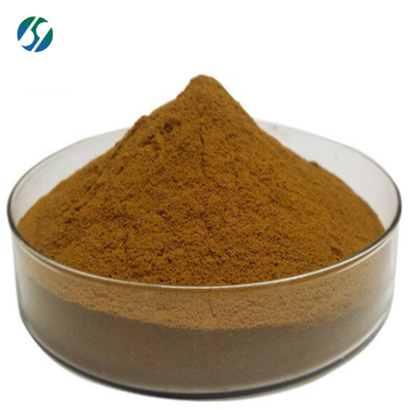High quality Ginkgo biloba extract with best price 90045-36-6