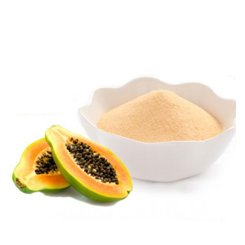 Hot sale papaya fruit extract powder