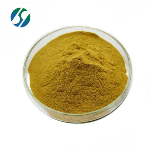 Milk thistle seed powder Silymarin 80% Silybin 50% 55% CAS 84604-20-6 silymarin extract powder