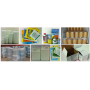 Factory  supplements best price stiff silkworm extract / silkworm chrysalis extract