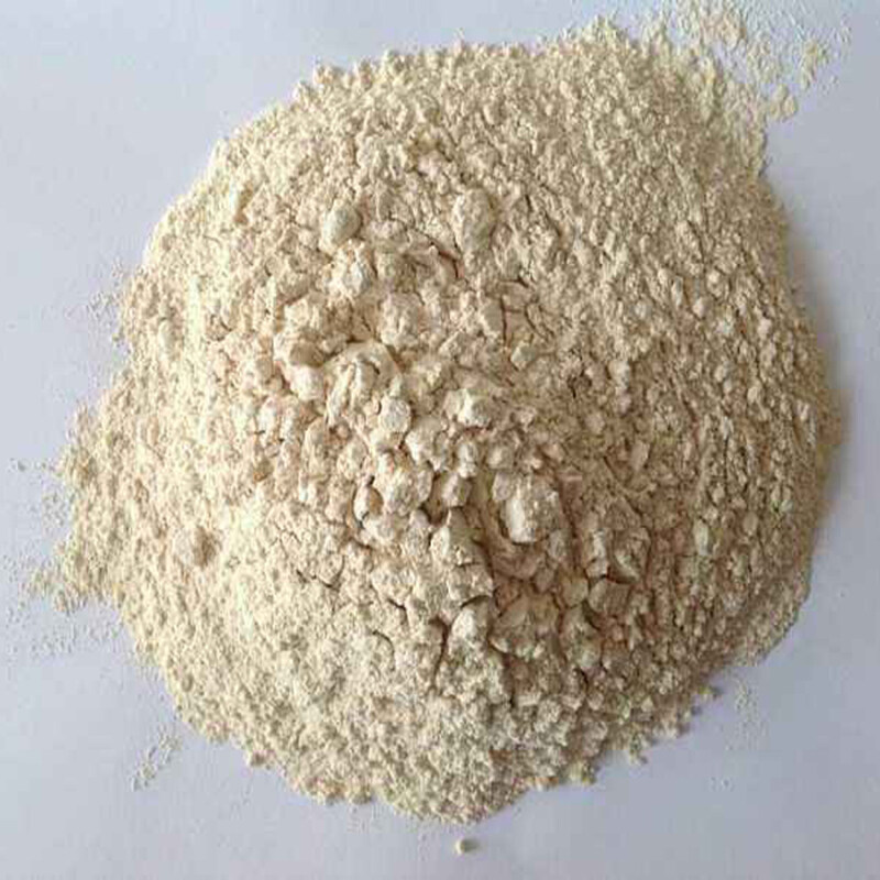 Professional Supplier supply high quality food grade vital wheat gluten with best price !