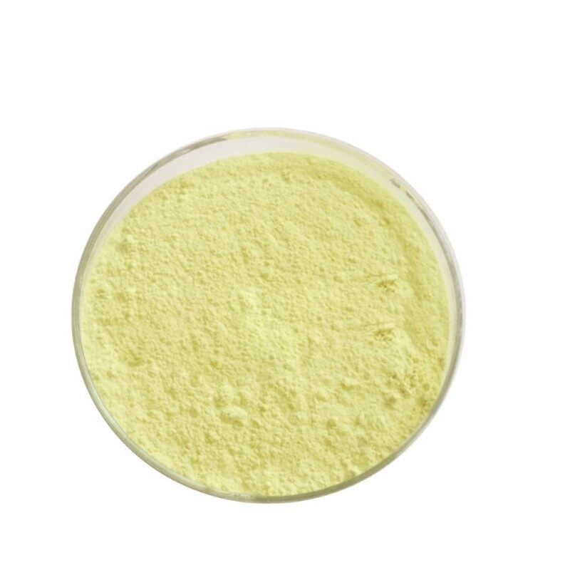 High quality Sea Buckthorn Powder with best price