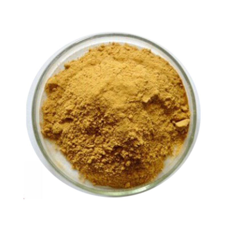 Factory Supply opuntia ficus-indica extract with best price