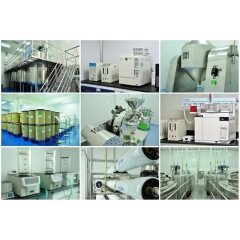 Factory supply high quality bulk Pure Dihydromyricetin DHM