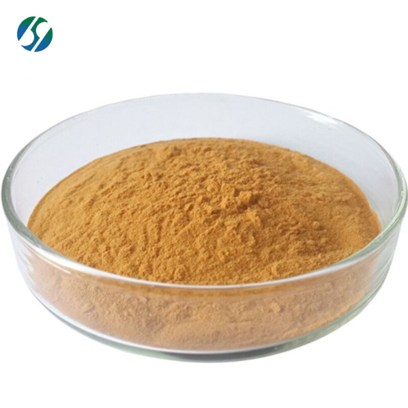 Hot selling rhubarb extract powder with best price