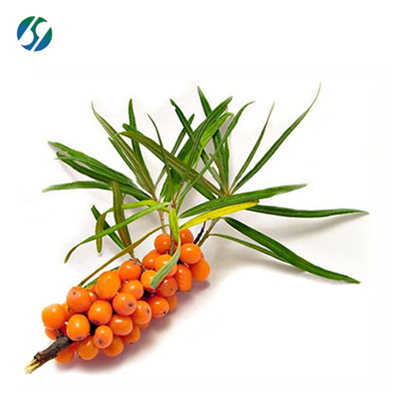 Hot selling high quality sea buckthorn seed oil with reasonable price and fast delivery !!