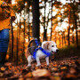 2021 Best Welcome Fashion Led Dog Clothes Designers Led Dog Harness Reflective RGB Light Pet Dog Harness