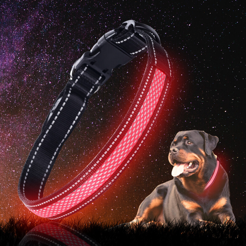Standard Size USB Rechargeable Nylon Mesh Led Dog Pet Collar & Leash Reflective Stitching Lighted Collar
