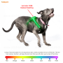 Wholesale Manufacture Custom Logo Luxury RGB Led Light Pet Dog Harness USB Rechargeable Pet Harness