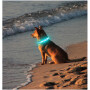 15 Years Factory Flashing Nylon Led Dog Cat Wholesale Pet Collar Glow in Dark Led Rechargeable Dog Collar Light Bulk