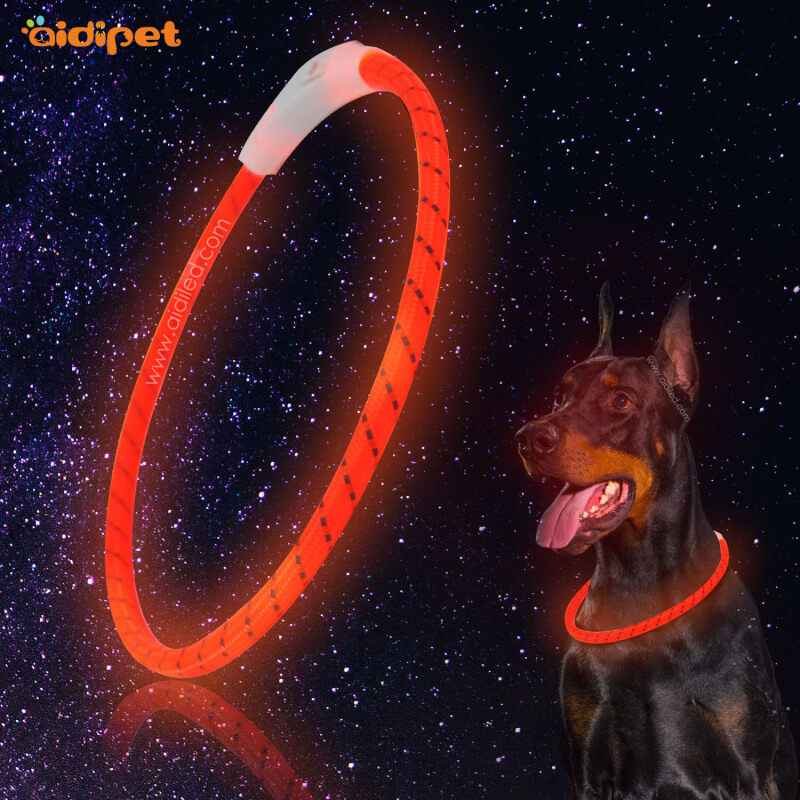 Led Para Perro Reflective Led Light Collar for Dog Pets Free Sizes Luminous Glowing Dog Collar