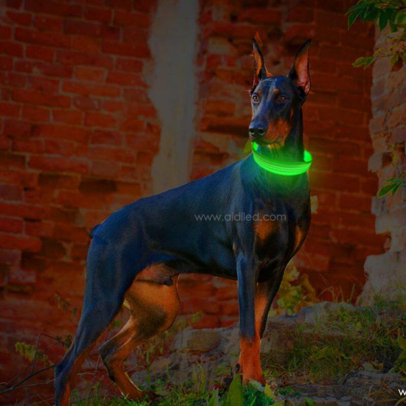 Nylon Dog Collar Light for Pet Warning Light Christmas Light up Dog Collar Bulk Buy Flashing Dog Collar Supplier