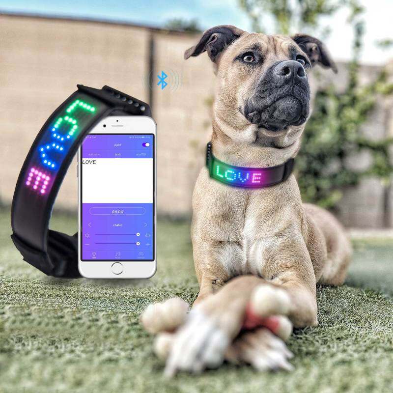 Hi-Tech Led Dog Collar Display APP Control Dog Collars USB Rechargeable Lighted Pet Collars
