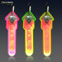 Led Clip Led Photo Clip String Lights for out door activities