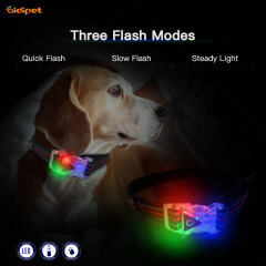 Wholesale Design USB Puppy Belt Rechargeable Usb Light Up Led Dog Collar Ready to ShipFor Dogs