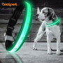 Christmas Flashing Light up Dog Collar Led USB Rechargeable Dog Collar With Bone Printing