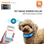 Glowing Dog Collars Lighted Collar Fits Dogs  Rechargeable Light up Safety Display Dog Collar